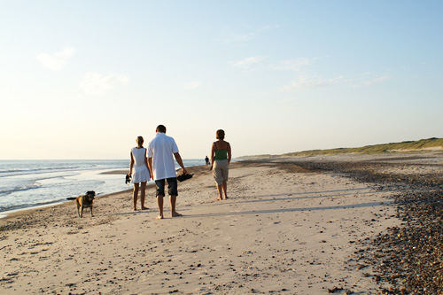 Trendoversigt 2012